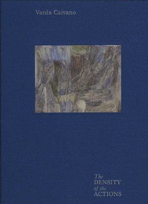 bokomslag Varda Caivano - The Density of the Actions