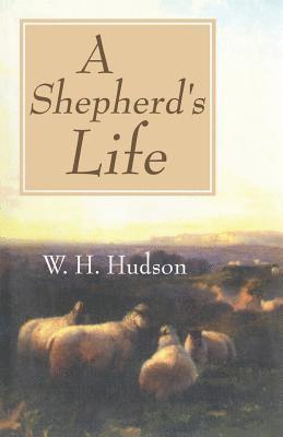 W H Hudson - Shepherd's Life, Häftad