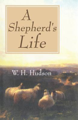 Shepherd's Life: Impressions of the South Wilshire Downs 1