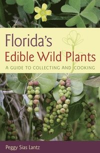 bokomslag Florida's Edible Wild Plants
