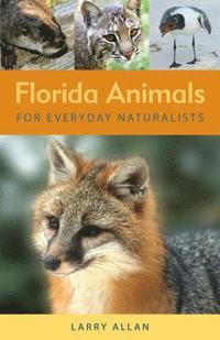 bokomslag Florida Animals for Everyday Naturalists