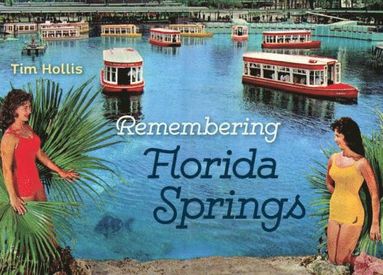 bokomslag Remembering Florida Springs