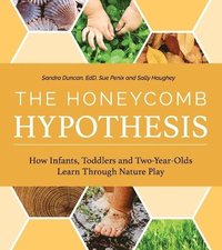 bokomslag Honeycomb Hypothesis