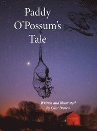 bokomslag Paddy O'Possum's Tale