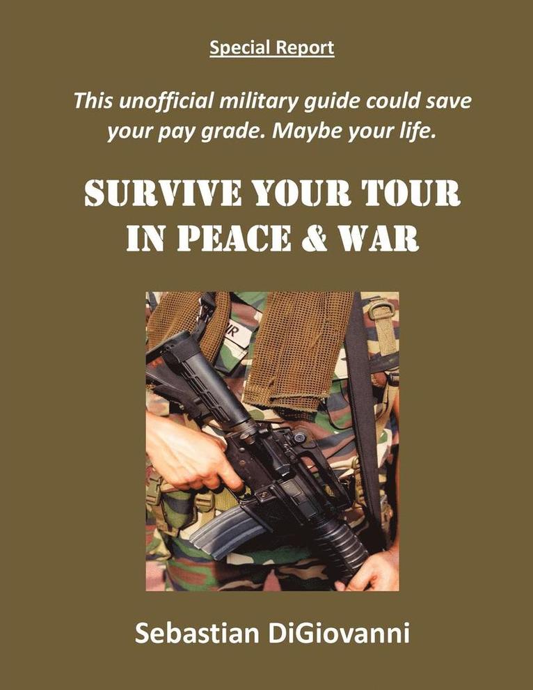 Survive Your Tour in Peace & War 1