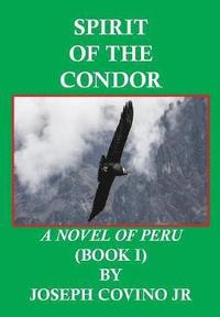 bokomslag Spirit of the Condor