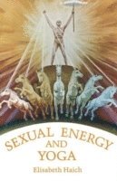bokomslag Sexual Energy & Yoga