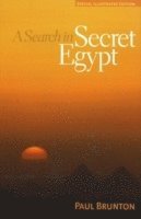 bokomslag Search in Secret Egypt