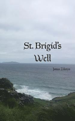 St. Brigid's Well 1