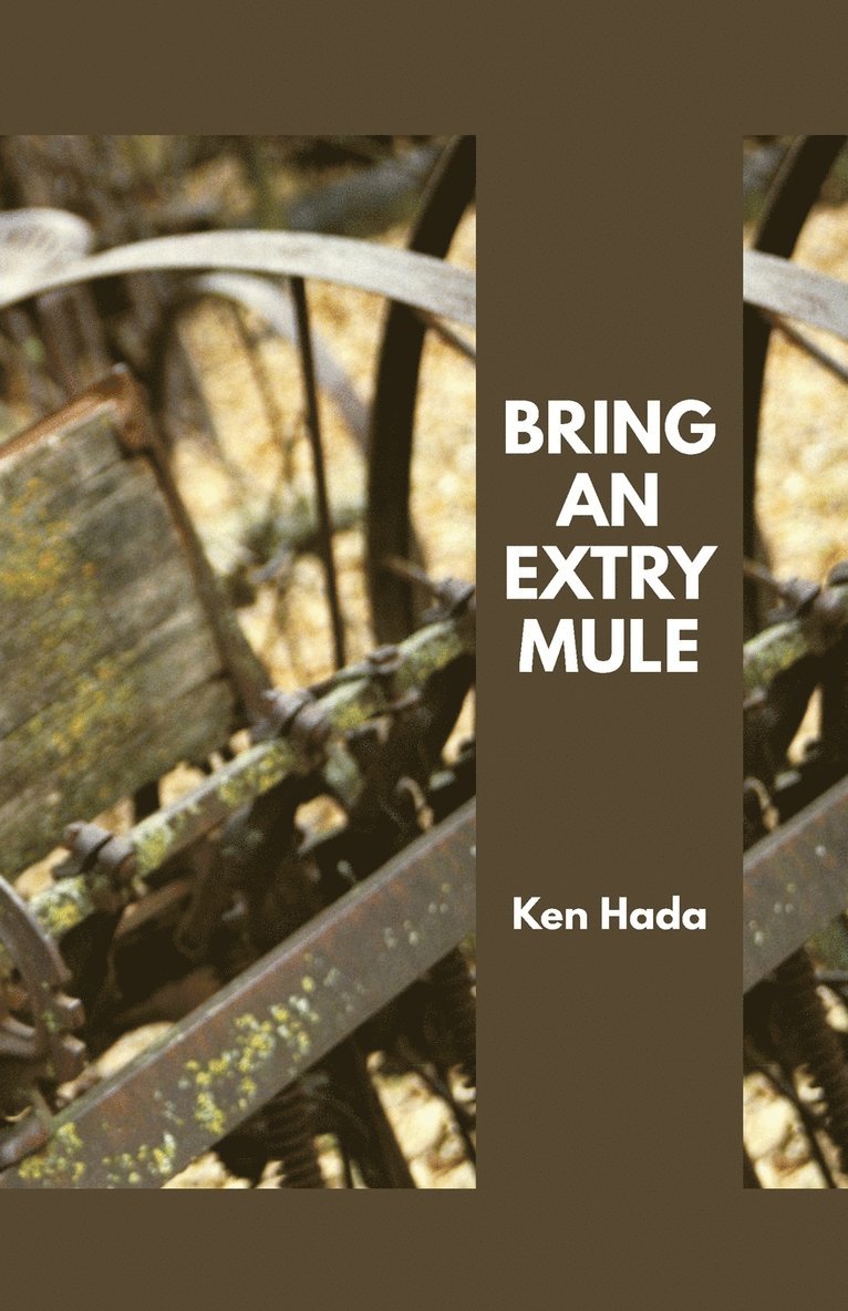 Bring an Extry Mule 1