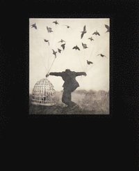 bokomslag Robert and Shana Parkeharrison: The Architect's Brother
