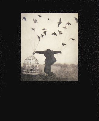 bokomslag Robert and Shana Parkeharrison: The Architect's Brother