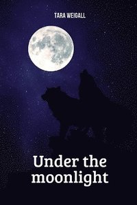 bokomslag Under the moonlight