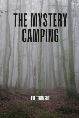 bokomslag The mystery camping