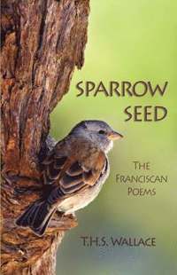 bokomslag Sparrow Seed