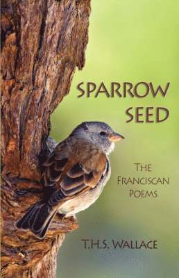 bokomslag Sparrow Seed