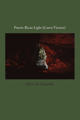 Allora & Calzadilla: Puerto Rican Light, Häftad