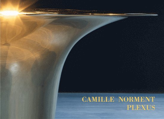 Camille Norment: Plexus 1