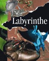 bokomslag Labyrinthe: Poesie im 21. Jahrhundert
