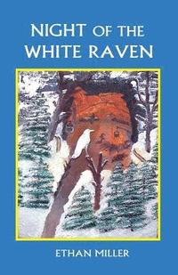 bokomslag Night of the White Raven