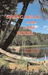 bokomslag Spring Break at the Lake House