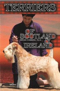 bokomslag The Terriers of Scotland & Ireland