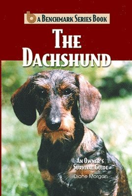 The Dachshund 1