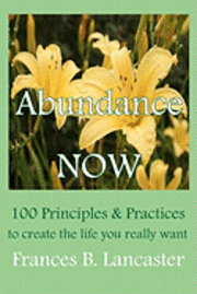 bokomslag Abundance Now: 100 Principles and Practices to create the life you really want