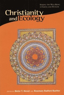 Dieter T. Hessel, Rosemary Radford Ruether - Christianity and Ecology, Häftad