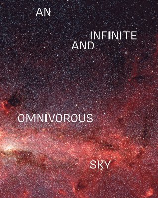 An Infinite and Omnivorous Sky 1