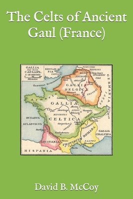 bokomslag The Celts of Ancient Gaul (France)