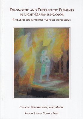 bokomslag Bernard, C: Diagnostic and Therapeutic Elements in Light-Dar