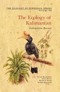 bokomslag The Ecology of Kalimantan