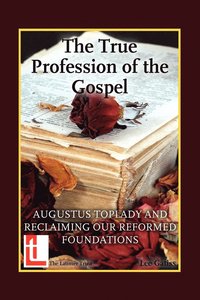 bokomslag The True Profession of the Gospel