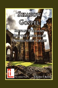 bokomslag Shadow Gospel