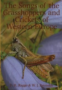bokomslag Songs of the Grasshoppers and Crickets of Western Europe