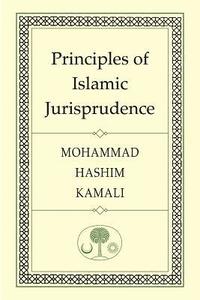 bokomslag Principles of Islamic Jurisprudence