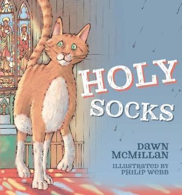 bokomslag Holy Socks