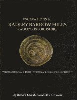 bokomslag Excavations At Barrow Hills, Radley, Oxfordshire, 1983-5