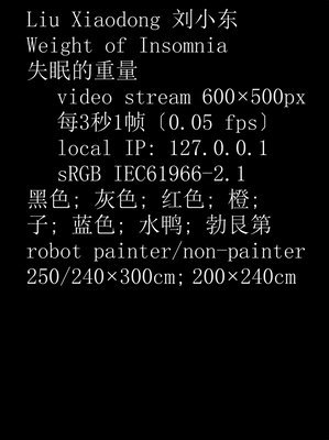 bokomslag Liu Xiaodong: Weight of Insomnia