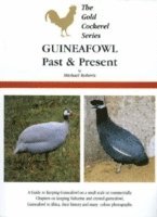 Guineafowl Past and Present