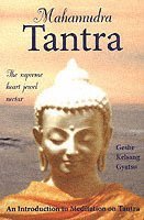 bokomslag Mahamudra Tantra: The Supreme Heart Jewel Nectar