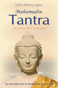 bokomslag Mahamudra Tantra