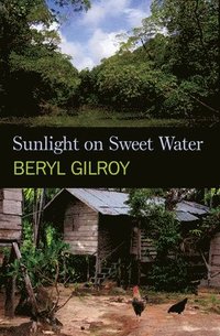 bokomslag Sunlight on Sweet Water