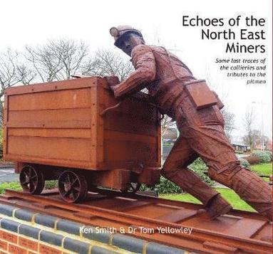 bokomslag Echoes of the North East Miners