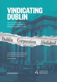bokomslag Vindicating Dublin