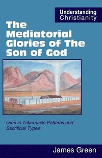 bokomslag The Mediatorial Glories of The Son of God