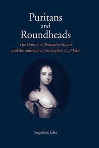 bokomslag Puritans and Roundheads