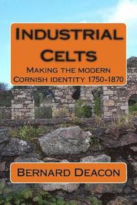 bokomslag Industrial Celts: Making the Modern Cornish Identity, 1750-1870