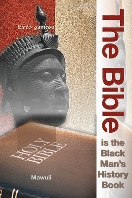 bokomslag The Bible Is The Black Man's History Book